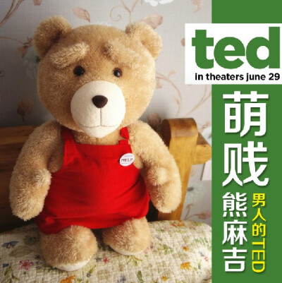 TED熊萌贱泰迪熊 吉围裙版 毛绒玩具 生日节日礼物 送女友床头熊