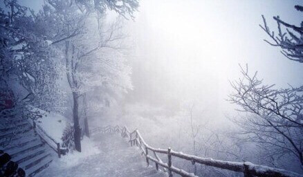 冬游黄山，雪景、雾凇、云海，这三大美景绝不可错过！！