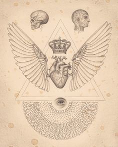 Soul of Science. / heart and skull / sacred geometry / Daniel Martin Diaz / Anatomical &amp;lt;3