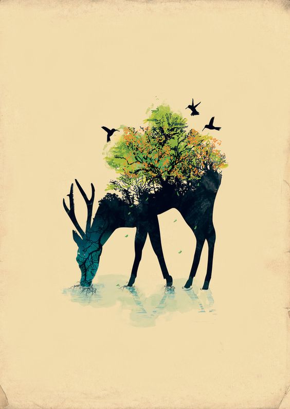 Deer Tattoo | Budi Satria Kwan: