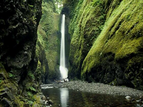 Oneonta Gorge Falls Columbia River Gorge Scenic Area Oregon 俄勒冈州：哥伦比亚河谷景观区