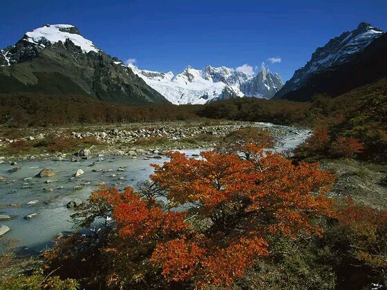 Cerro Torre Los Glaciares National Park Patagonia Argentina 阿根廷：洛斯格拉希亚雷斯冰川国家公园图片