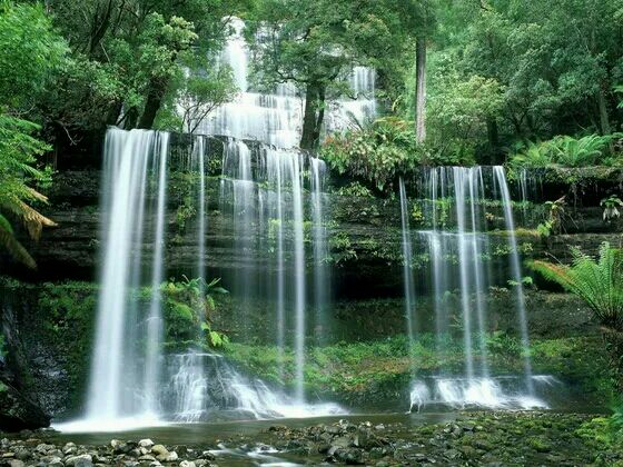 Russell Falls Mount Field National Park Tasmania 塔斯马尼亚岛：费尔德山国家公园 罗素瀑布