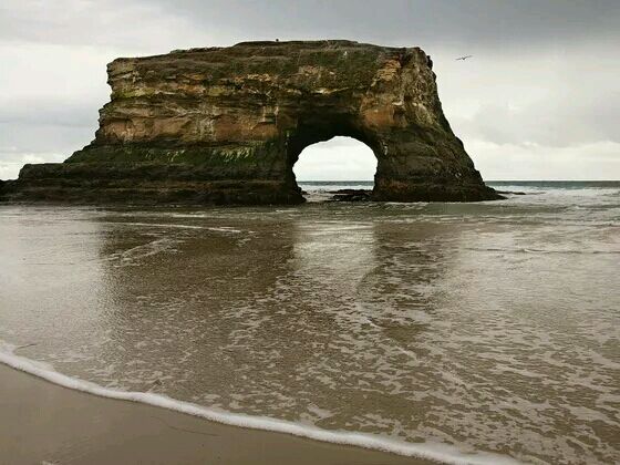 Natural Bridges State Beach Santa Cruz California 美国加州：圣克鲁斯 天然桥州立海滩