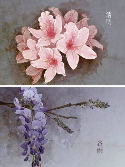 二十四节气花卉图