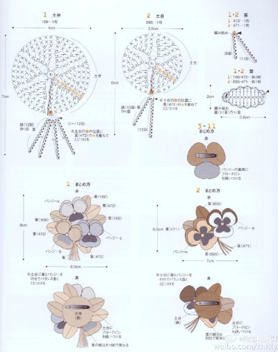 三色堇