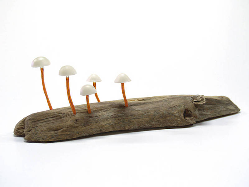 【树干上的蘑菇灯】日本设计师Yukio Takano以木头上的蘑菇形象设计了一系列灯具。超级像野生的蘑菇，底座还是木头的，这一颗颗小小的蘑菇，加上这梦幻般的灯光，夜晚将屋子装扮的格外浪漫！这些跟真的一样的人造蘑菇有着不同的颜色，散发的柔和灯光犹如童话世界的夜晚。