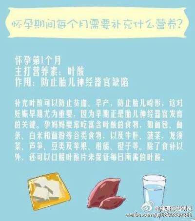 怀孕期间每个月需要补充什么营养？女的麻溜马，男的为自己媳妇留着。健康养生，活力倍增！更多备孕生活诀窍知识，关.注@健康生活诀窍