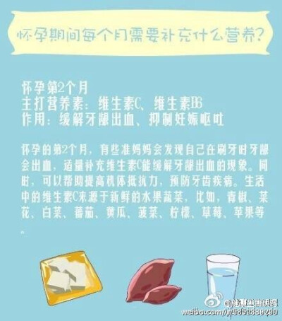 怀孕期间每个月需要补充什么营养？女的麻溜马，男的为自己媳妇留着。健康养生，活力倍增！更多备孕生活诀窍知识，关.注@健康生活诀窍