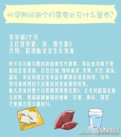 怀孕期间每个月需要补充什么营养？女的麻溜马，男的为自己媳妇留着。健康养生，活力倍增！更多备孕生活诀窍知识，关.注@健康生活诀窍