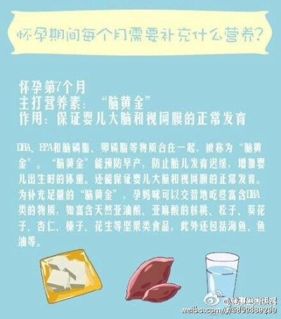 怀孕期间每个月需要补充什么营养？女的麻溜马，男的为自己媳妇留着。健康养生，活力倍增！更多备孕生活诀窍知识，关.注@健康生活诀窍