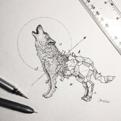 分享来自插画师Kerby一组精彩的手绘动物插画作品，一种蜕变的即视感有没，你喜欢吗？