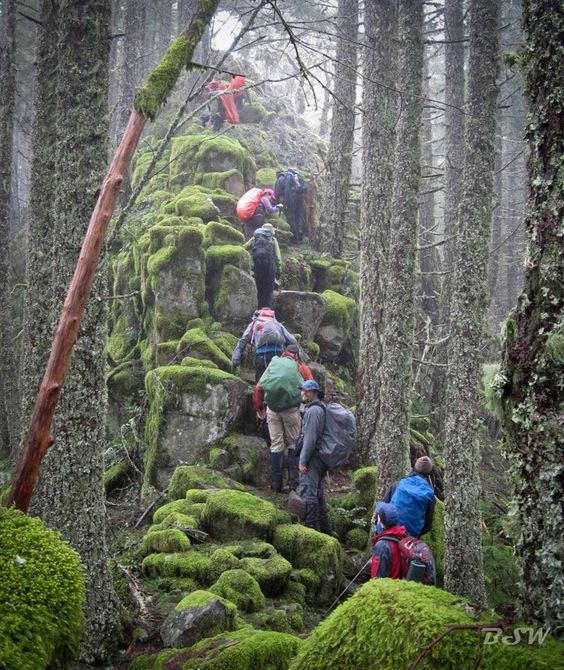 The 13 Most Grueling Hiking Trails In America. #9 Could Even Kill You