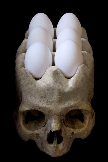 Skull Egg Holder - I Want One!: