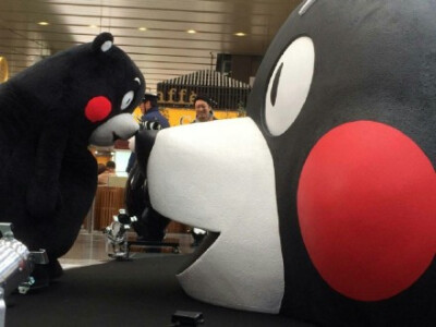 #kumamon#kumamonday！touch！