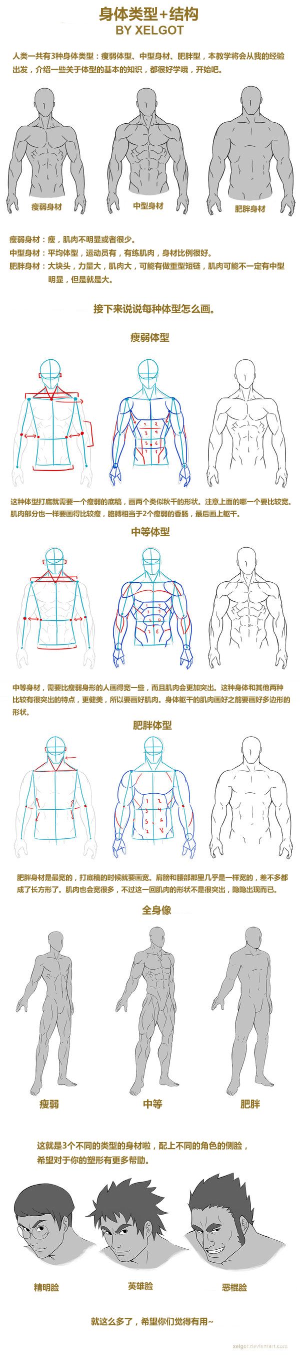 人体结构