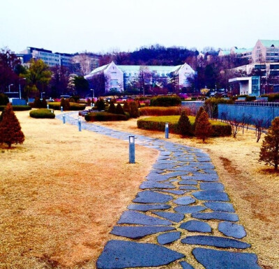 梨花女子大学*Ewha Womans University