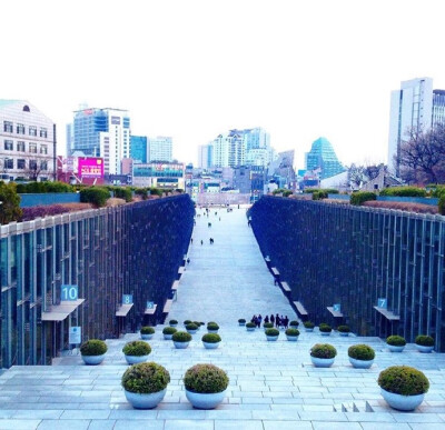 梨花女子大学*Ewha Womans University