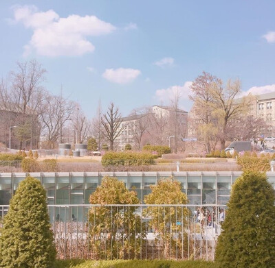 梨花女子大学*Ewha Womans University