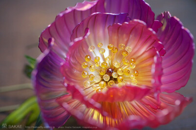 水晶花