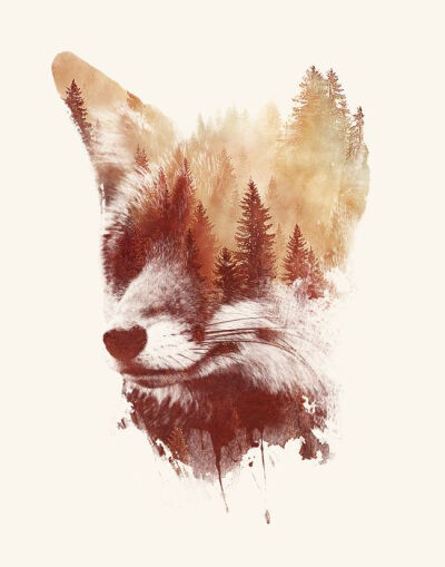 Blind fox by Robert Farkas #artprints: