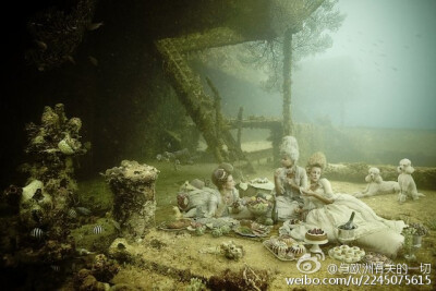 深海里的宫廷戏 | 奥地利摄影师 Andreas Franke