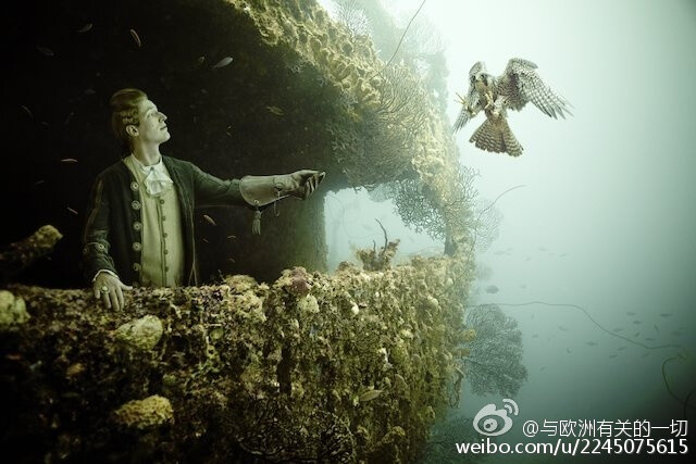 深海里的宫廷戏 | 奥地利摄影师 Andreas Franke