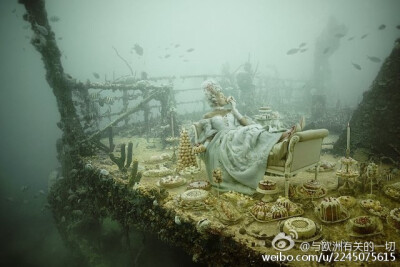 深海里的宫廷戏 | 奥地利摄影师 Andreas Franke