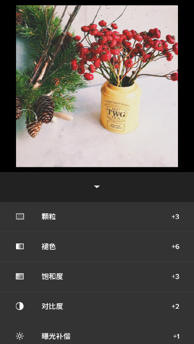 VSCO 明亮心情调色步骤：滤镜C1+8曝光补偿+1对比度+2饱和度+3褪色+6颗粒+3详见图学走点赞