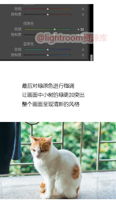 #Lightroom# 【第540期】风格：动物清新；主题《旺哥跟周末妹》后期修图调色思路及方法借鉴，喜欢的可以参考，转需~（摄影，后期@牧羊女座 ）