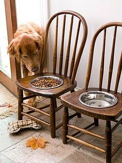 I like the idea of keeping the bowls off the floor! Larger dogs, especially in their senior years, can be prone to arthritis etc. Help protect their necks &amp;amp; joints by making sure their bowls a…