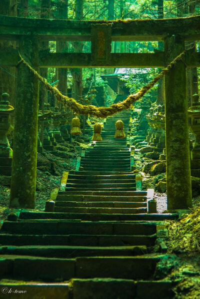 《霧雨の上色見熊野座神社》摄影师：photresbienne。《螢火之森》的神社原型。影片地址→：L【BD720P+BD1080P】萤火之森 +OST【诸神字幕...