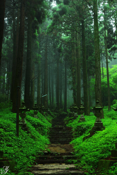 《霧雨の上色見熊野座神社》摄影师：photresbienne。《螢火之森》的神社原型。影片地址→：L【BD720P+BD1080P】萤火之森 +OST【诸神字幕...