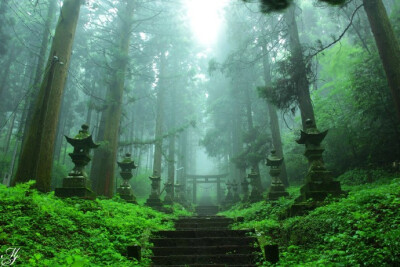 《霧雨の上色見熊野座神社》摄影师：photresbienne。《螢火之森》的神社原型。影片地址→：L【BD720P+BD1080P】萤火之森 +OST【诸神字幕...