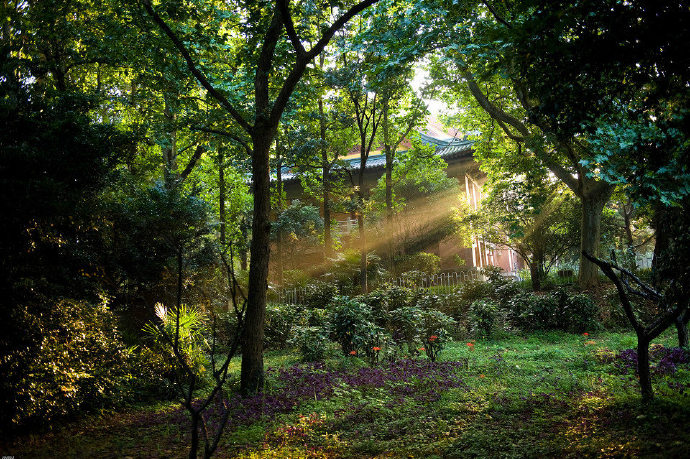 涧水穿林去，山云带雨回。