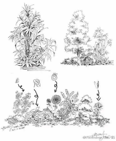 #绘画学习# 建筑景观手绘中植被是画面中必不可少的手绘元素,分享给大家！ #俺们都是设计师#