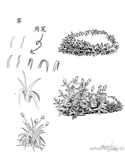 #繪畫學習# 建筑景觀手繪中植被是畫面中必不可少的手繪元素,分享給大家！ #俺們都是設(shè)計師#