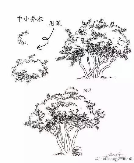 #繪畫學(xué)習(xí)# 建筑景觀手繪中植被是畫面中必不可少的手繪元素,分享給大家！ #俺們都是設(shè)計師#