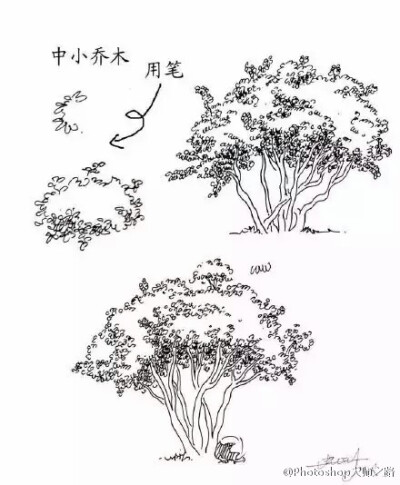 #繪畫學(xué)習(xí)# 建筑景觀手繪中植被是畫面中必不可少的手繪元素,分享給大家！ #俺們都是設(shè)計(jì)師#