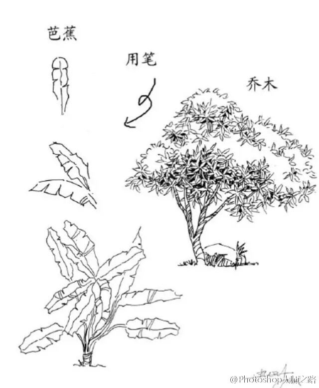 #繪畫(huà)學(xué)習(xí)# 建筑景觀(guān)手繪中植被是畫(huà)面中必不可少的手繪元素,分享給大家！ #俺們都是設(shè)計(jì)師#