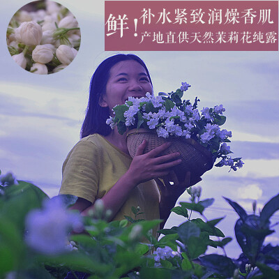 茉莉花纯露要做好啦。