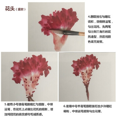 【国画技法】花中之“禽”——鸡冠花 @學畵 秋光及物眼犹迷，著叶婆娑拟碧鸡。