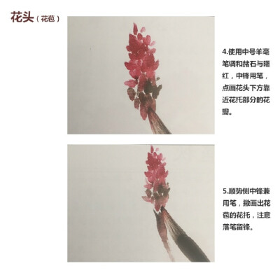 【国画技法】花中之“禽”——鸡冠花 @學畵 秋光及物眼犹迷，著叶婆娑拟碧鸡。