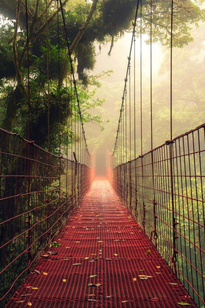 Footbridge near Drake's Bay on the Osa Peninsula, Costa Rica。哥斯达黎加奥萨半岛德雷克湾。奥萨半岛一作奥撒半岛，西北临科罗纳多湾，西临太平洋，最南端为马塔帕洛角（Cabo Matapalo），东濒杜尔塞湾，西北至东南长约55公里，西南至东北宽30公里，是哥斯达黎加第二大半岛。在德雷克海湾的科尔科瓦多国家公园被美国《国家地理》评为“世界上生物种类最丰富的地方”。在导游的引导下，游客可以观察到隐藏在树顶和灌木丛中的894种色彩缤纷的鸟类。