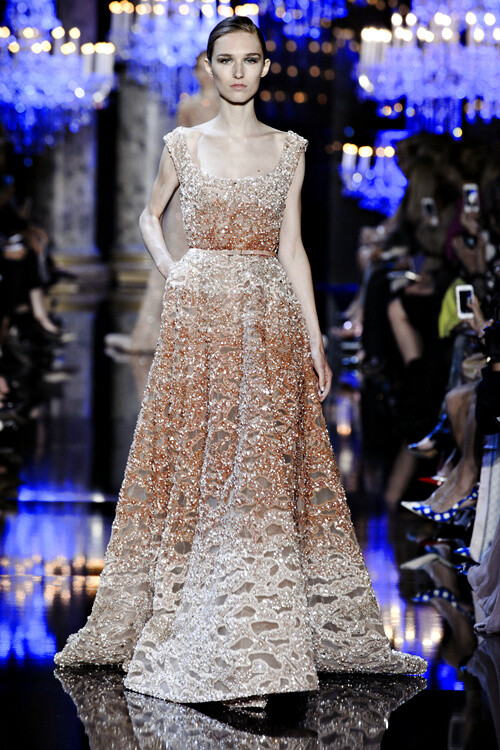 暗夜精灵 | Elie Saab FW 2014 Highlights