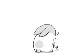 Machiko rabbit