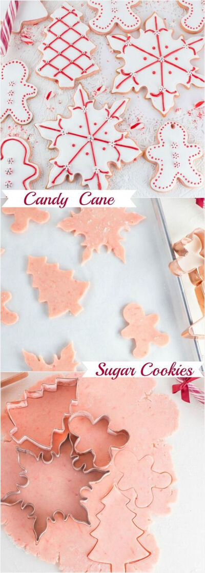 Amazing tasting Candy Cane Sugar Cookies! The perfect recipe for making decorative cut out cookies. The best sugar cookies I’ve ever made with delicious candy cane flavour!: