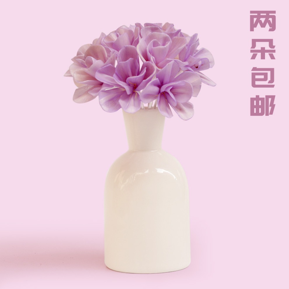 仿真花花束无火香薰精油挥发干花客厅干花 花球装饰 家居干花饰品