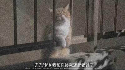 文案