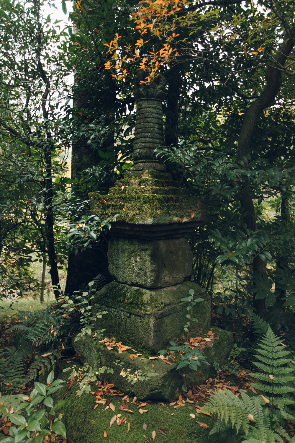 B162 日本 庭院 风景 树林